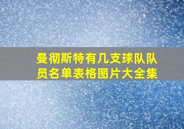 曼彻斯特有几支球队队员名单表格图片大全集