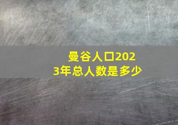 曼谷人口2023年总人数是多少