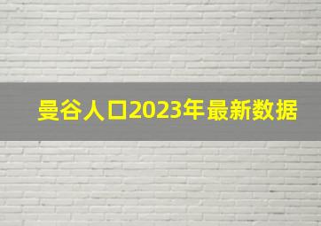 曼谷人口2023年最新数据