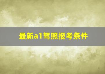 最新a1驾照报考条件