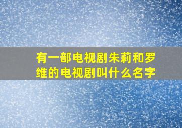 有一部电视剧朱莉和罗维的电视剧叫什么名字