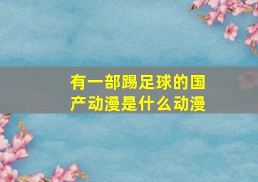 有一部踢足球的国产动漫是什么动漫