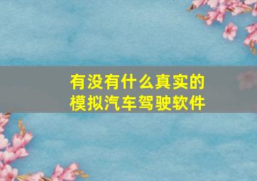 有没有什么真实的模拟汽车驾驶软件