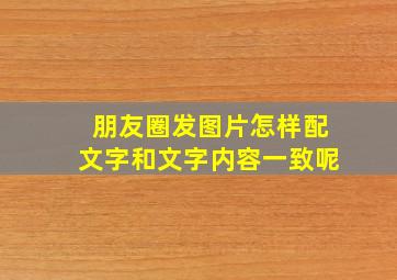 朋友圈发图片怎样配文字和文字内容一致呢