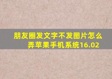 朋友圈发文字不发图片怎么弄苹果手机系统16.02