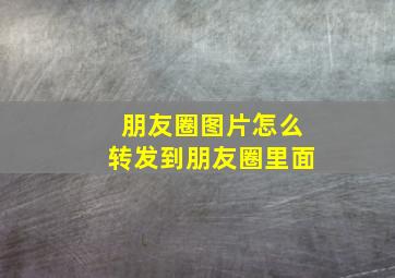 朋友圈图片怎么转发到朋友圈里面