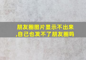 朋友圈图片显示不出来,自己也发不了朋友圈吗