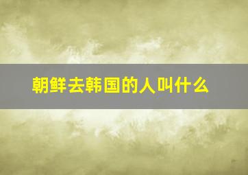 朝鲜去韩国的人叫什么