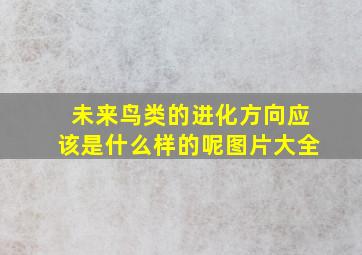 未来鸟类的进化方向应该是什么样的呢图片大全