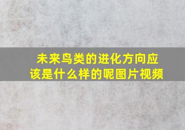 未来鸟类的进化方向应该是什么样的呢图片视频