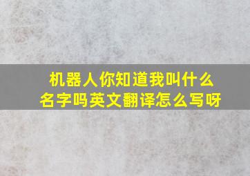 机器人你知道我叫什么名字吗英文翻译怎么写呀