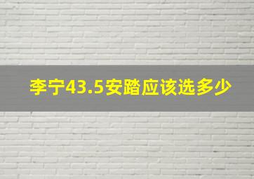 李宁43.5安踏应该选多少