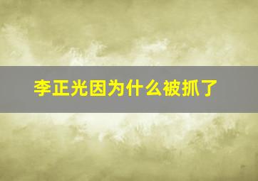 李正光因为什么被抓了