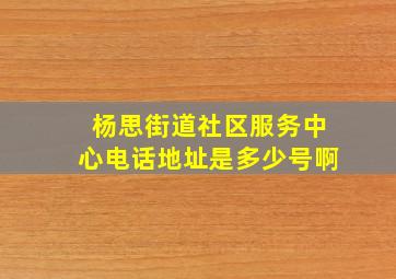 杨思街道社区服务中心电话地址是多少号啊