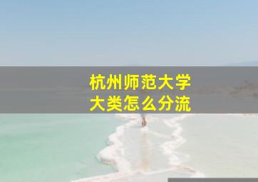 杭州师范大学大类怎么分流