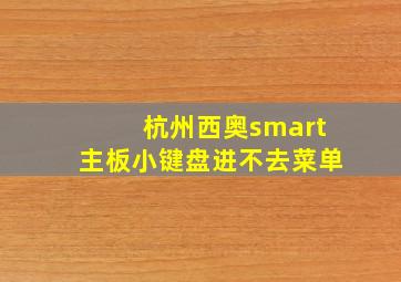 杭州西奥smart主板小键盘进不去菜单