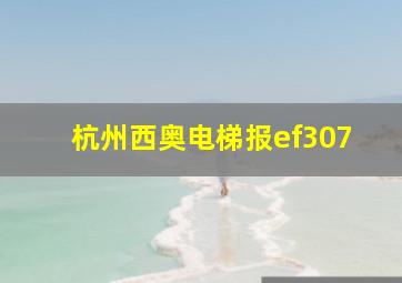 杭州西奥电梯报ef307