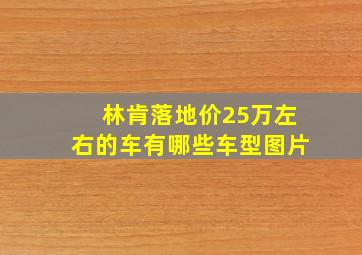 林肯落地价25万左右的车有哪些车型图片