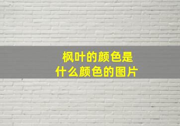 枫叶的颜色是什么颜色的图片