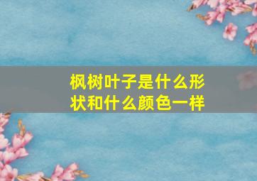 枫树叶子是什么形状和什么颜色一样