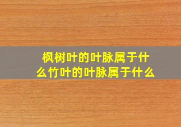 枫树叶的叶脉属于什么竹叶的叶脉属于什么