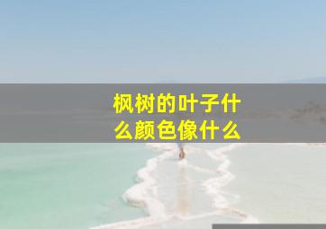 枫树的叶子什么颜色像什么