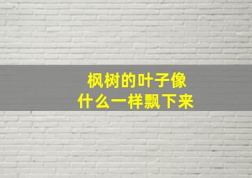 枫树的叶子像什么一样飘下来