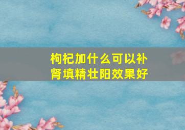 枸杞加什么可以补肾填精壮阳效果好