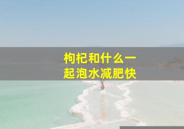 枸杞和什么一起泡水减肥快