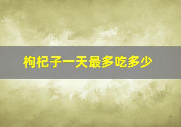 枸杞子一天最多吃多少