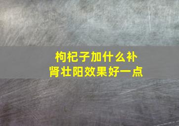 枸杞子加什么补肾壮阳效果好一点