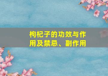 枸杞子的功效与作用及禁忌、副作用