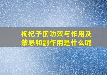 枸杞子的功效与作用及禁忌和副作用是什么呢