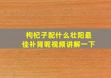 枸杞子配什么壮阳最佳补肾呢视频讲解一下