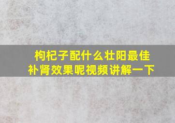 枸杞子配什么壮阳最佳补肾效果呢视频讲解一下