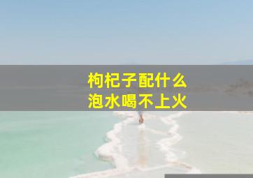 枸杞子配什么泡水喝不上火