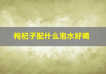 枸杞子配什么泡水好喝