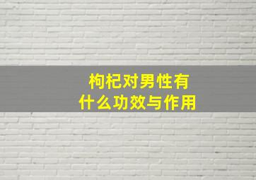 枸杞对男性有什么功效与作用