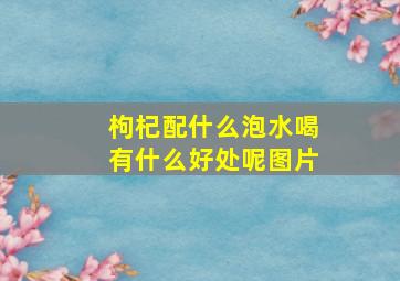 枸杞配什么泡水喝有什么好处呢图片