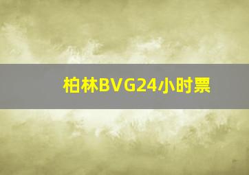 柏林BVG24小时票