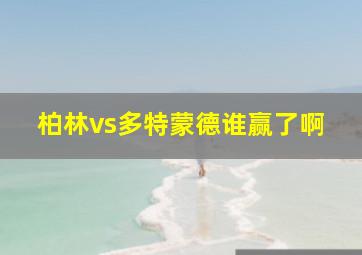 柏林vs多特蒙德谁赢了啊