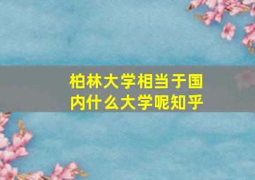 柏林大学相当于国内什么大学呢知乎