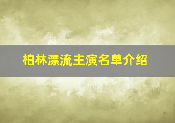 柏林漂流主演名单介绍