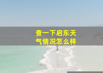 查一下启东天气情况怎么样