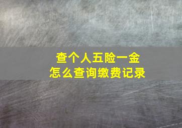 查个人五险一金怎么查询缴费记录