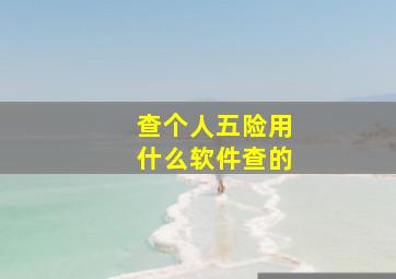 查个人五险用什么软件查的