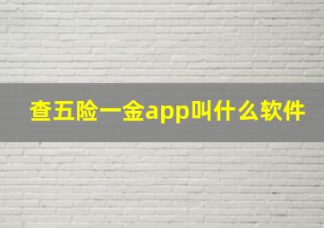 查五险一金app叫什么软件