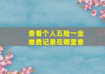 查看个人五险一金缴费记录在哪里查