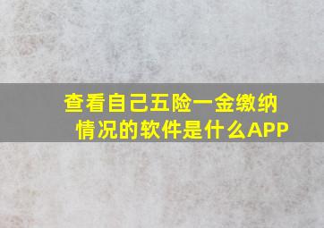 查看自己五险一金缴纳情况的软件是什么APP