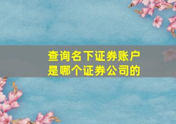 查询名下证券账户是哪个证券公司的